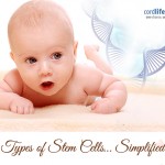 Types of Stem Cells: Simplified