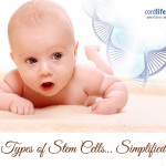 Types of Stem Cells… Simplified