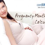 How to Use a Pregnancy Month Calculator?