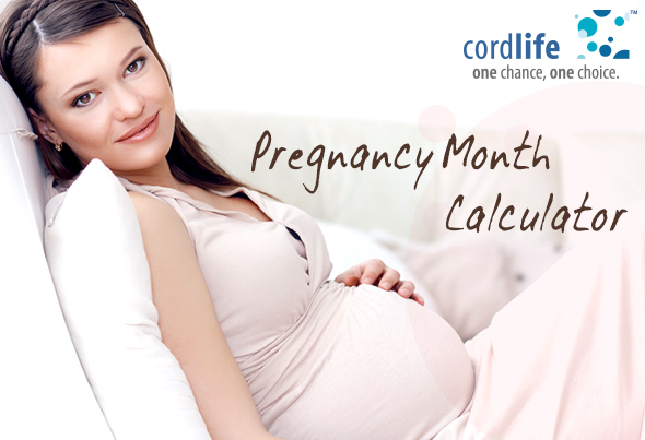 Pregnancy Month Calculator