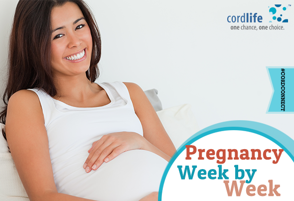 body changes week by week in pregnancy