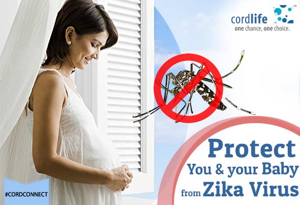 Zika protection for Pregnant woman
