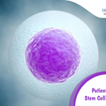 Patients Guide to Stem Cell Treatment
