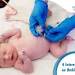 4 Interesting Facts on Umbilical Cords