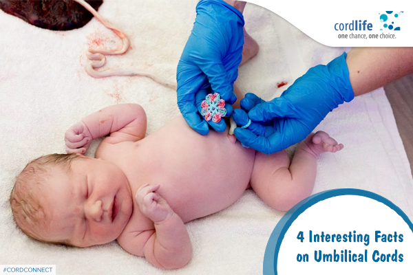 4 Interesting Facts on Umbilical Cords - Cordlife India