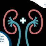 Bioengineered Veins Give Hope to Kidney Disease Patients on Dialysis