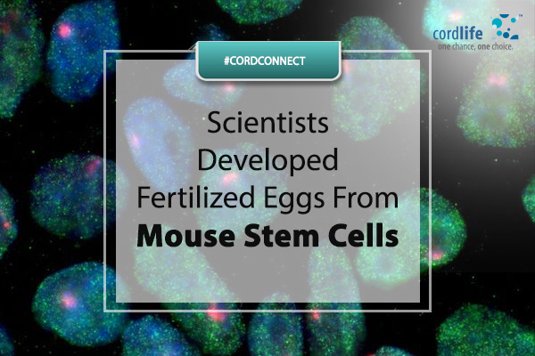 mouse stem cells