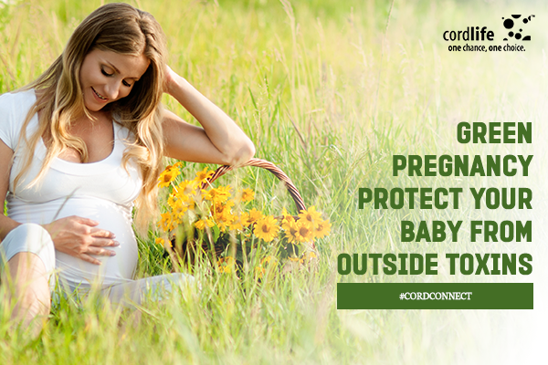 green pregnancy