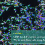 CIRM-funded Scientists Discover a New Way to Make Stem Cells Using Antibodies