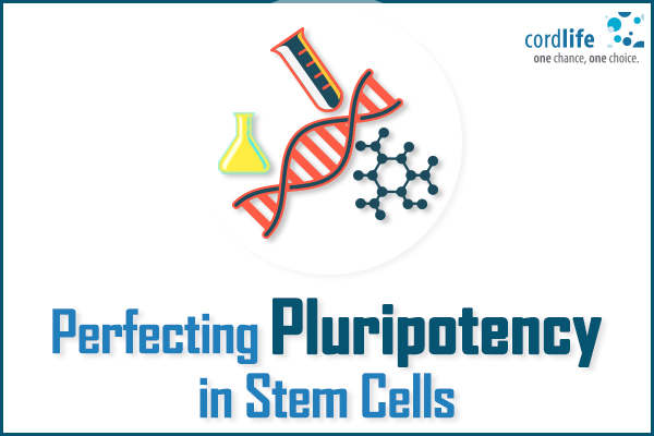 Pluripotency in Stem Cells