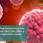 Protein That Turns Normal Cells into Cancer Stem Cells Offers Target to Fight Colon Cancer