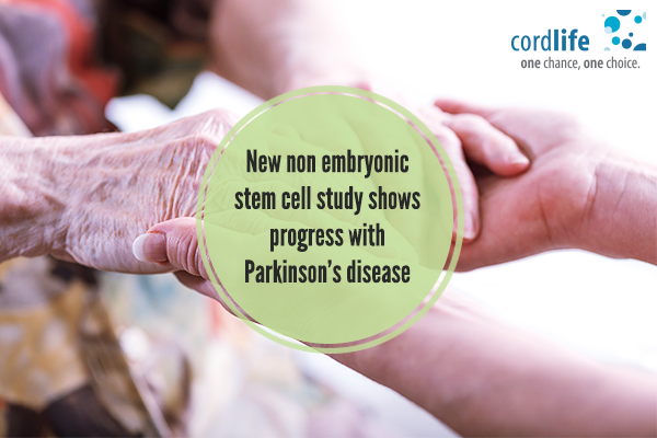 embryonic-stem-cell-study