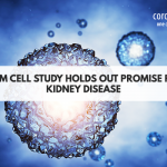 Stem Cell Study Holds Out Promise For Kidney Disease