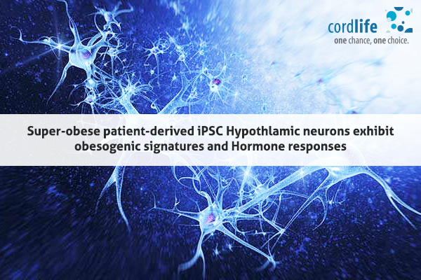 Hypothlamic neurons