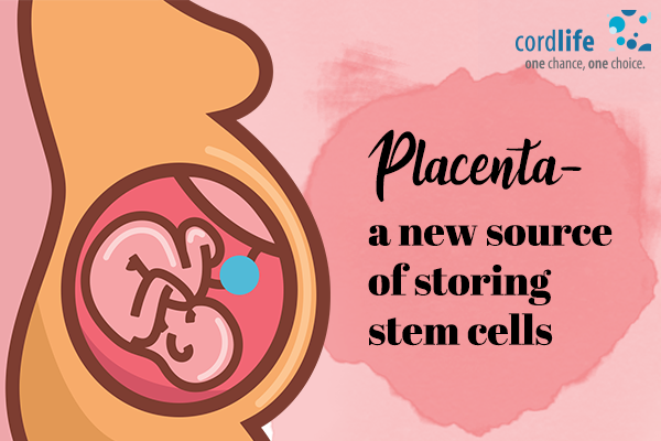 placenta stem cells