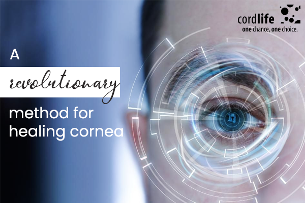 healing cornea