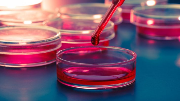 stemcell