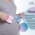 Eight Weeks – Completion of Second Month