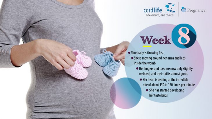 eight weeks of pregnancy