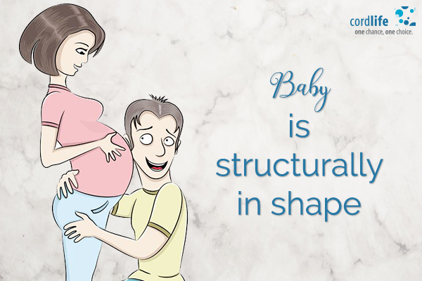 baby is structurally in shape