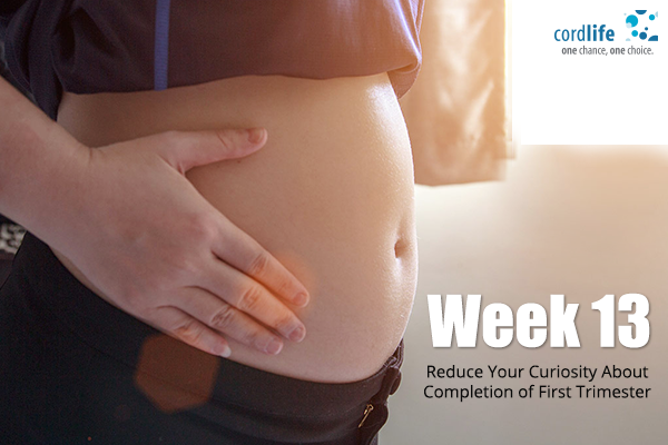 week 13 in pregnancy