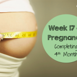 Week 17 of Pregnancy – Completing 4th Month