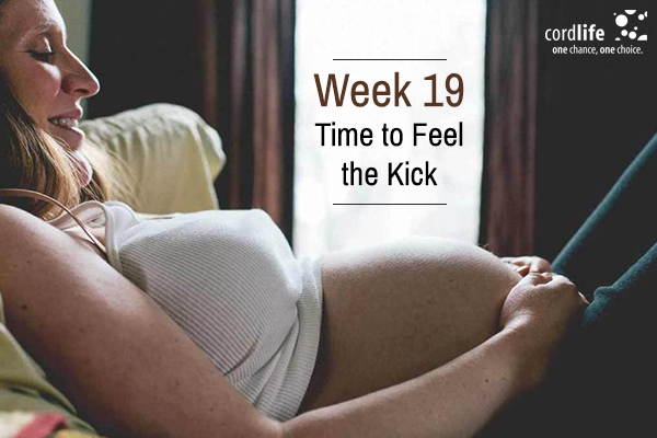 19th Weeks during pregnancy