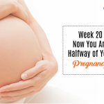 Week 20 Now You Are Halfway of Your Pregnancy