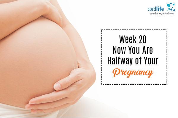 20 weeks pregnancy