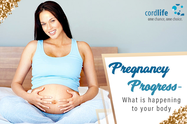 pregnancy progress