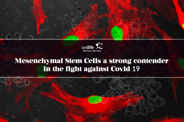 Mesenchymal stem cells research