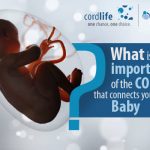 What Is The Importance Of The Cord That Connects You To Your Baby?