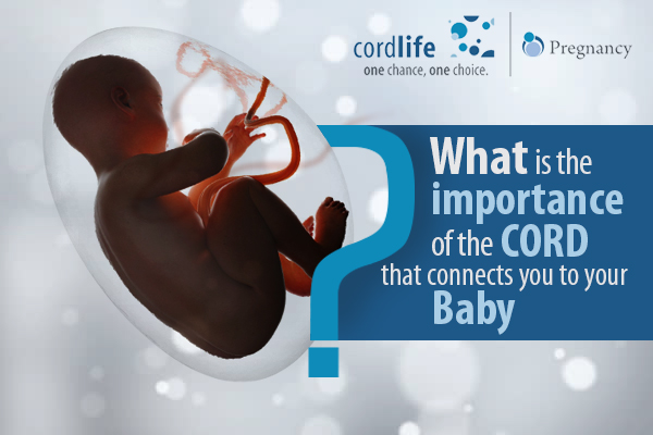 The Importance Of The Cord That Connects You To Your Baby?