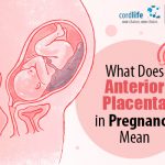 What Does Anterior Placenta in Pregnancy Mean?
