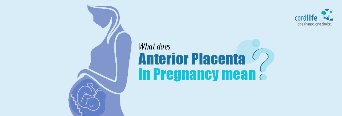 anterior placenta in pregnancy