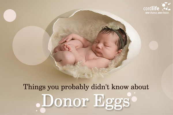 donor eggs