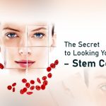 The Secret to Looking Younger – Stem Cells?