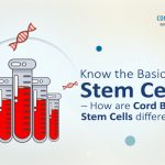 Know the Basics of Stem Cells – How are Cord Blood Stem Cells Different?