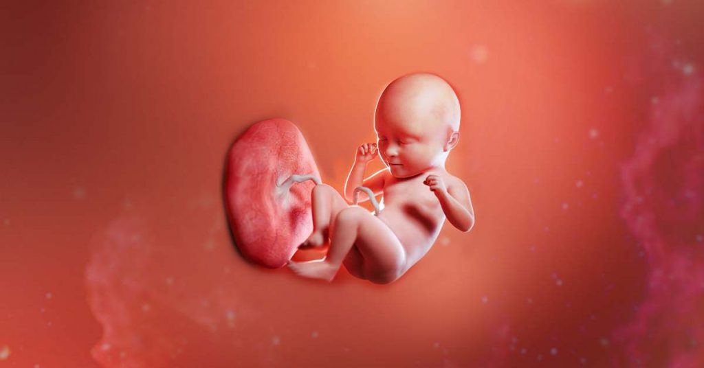 baby's umbilical cord blood