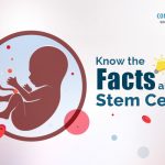 Know The Facts About Stem Cells
