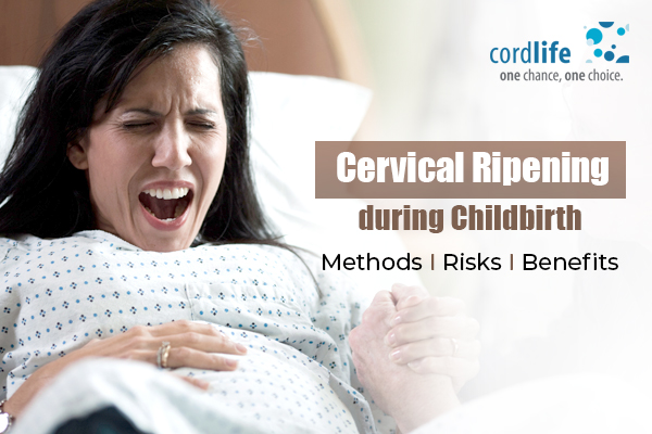 cervical ripening during pregnancy