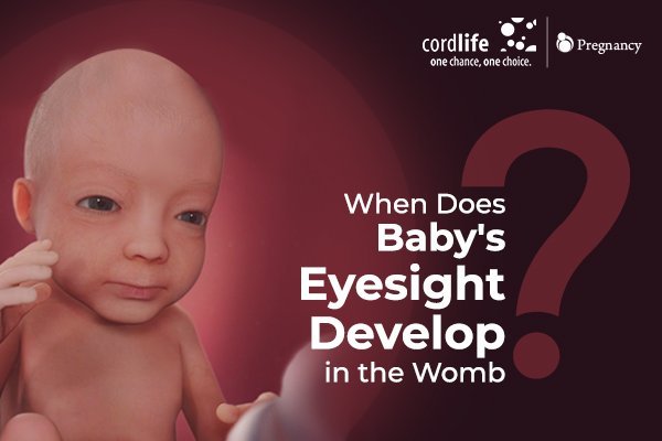 newborn vision development in the womb