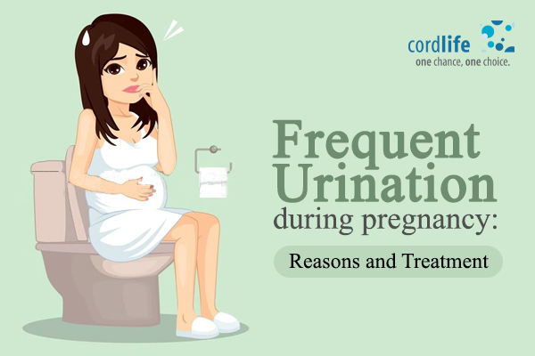 frequent urination sign of pregnancy