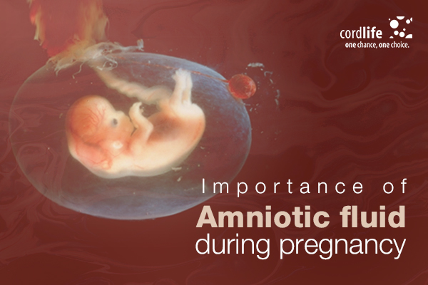 how to increase amniotic fluid naturally during pregnancy