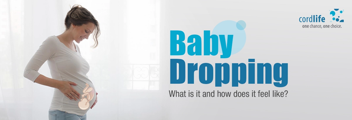 when does baby drop occur in pregnancy