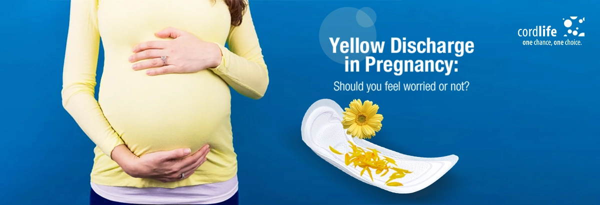 yellow vaginal discharge during pregnancy