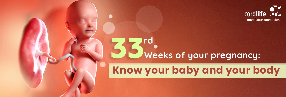 33rd weeks pregnancy