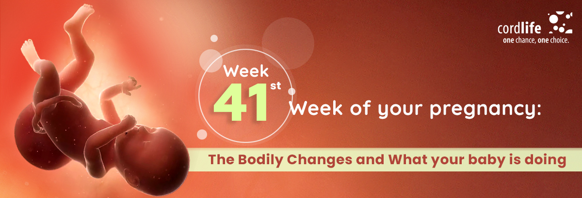 41st Week of pregnancy