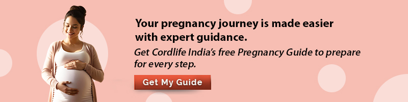 pregnancy guide