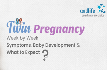 twin pregnancy guides